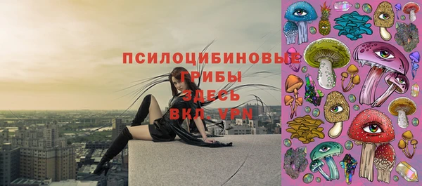 бутират Алексин