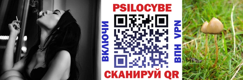 купить закладку Гдов Галлюциногенные грибы мицелий